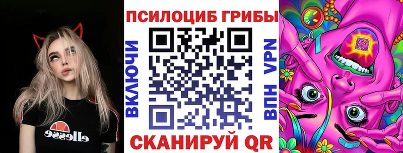 как найти наркотики  Кузнецк  Псилоцибиновые грибы Magic Shrooms 
